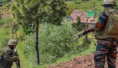 J&K Encounter: Terrorist Eliminated In Kishtwar Forest Firefight, Ops Continue