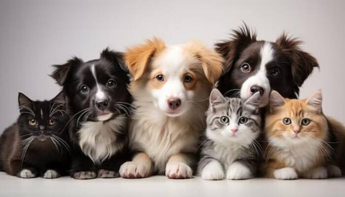 National Pet Day 2025: History, Significance, Wishes, Quotes And Amazing Health Benefits Of Pet Companionship