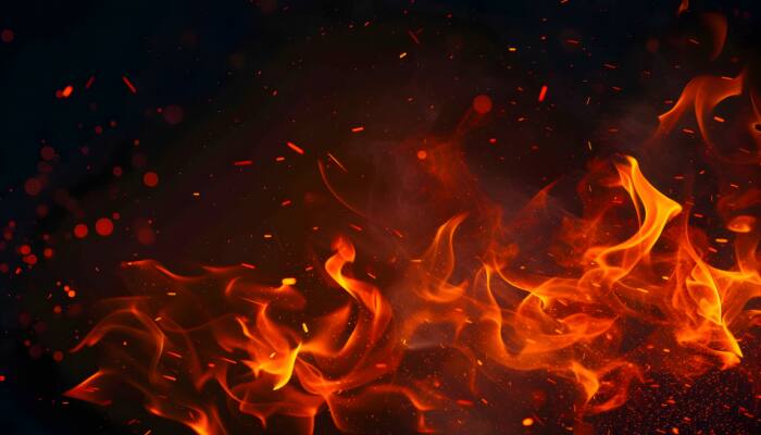 Andhra Pradesh: 8 Dead In Mishap At Firecracker Manufacturing Plant In Anakapalli, CM Naidu Orders Probe