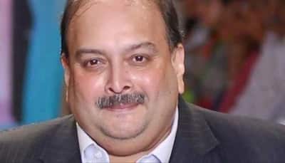Belgium Confirms Mehul Choksi's Arrest, Says India Introduced Extradition Request