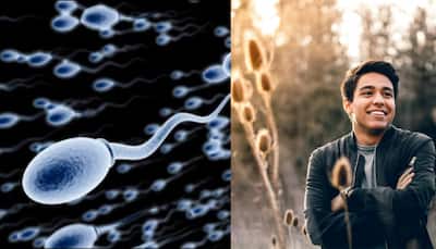 Sperm Race: World's First Microscopic Battle Set to Dazzle LA With High-Tech Tracks, Ultra HD Cameras; When And Where To Watch