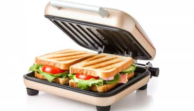 Grill It to Perfection: Best Sandwich Makers for Quick & Tasty Meals