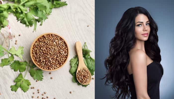 How To Incorporate Dhania Water Into Your Hair Care Routine For Promoting Faster Hair Growth