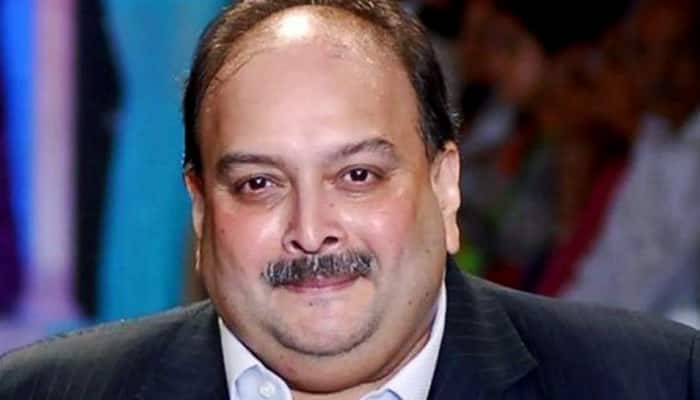 India Working Closely With Belgium On Mehul Choksi's Extradition: MEA