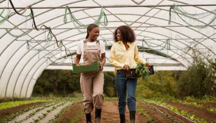 How Patanjali’s Organic Farming Is Improving Soil Health And Empowering Farmers? How Patanjali’s Organic Farming Is Improving Soil Health And Empowering Farmers?