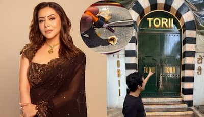 Gauri Khan's Team Breaks Silence On Torii Fake Paneer Allegations By YouTuber 