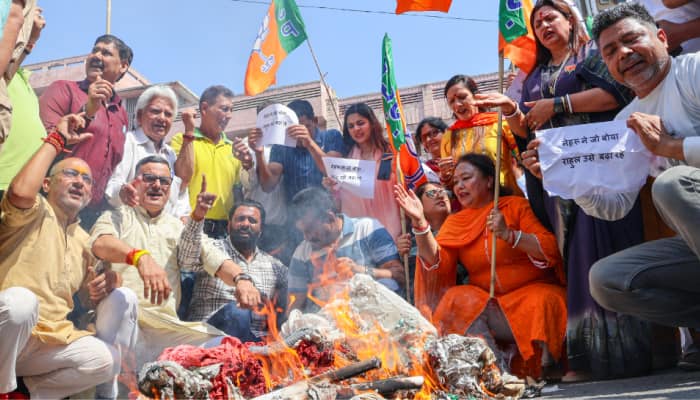 National Herald Case: BJP Protests Against Congress, Burns Rahul's Effigy