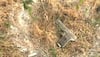 Massive Terror Attack Plan Foiled In Punjab; Cops Seize 2RPGs, IEDs, Grenades, RDX