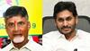 Andhra Pradesh: YSRCP Alleges Massive Land Scam In TDP-TCS Deal; TDP Reacts