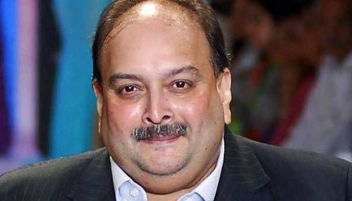 PNB Loan Fraud Case: Mehul Choksi's Bail Plea Rejected By Belgium Court