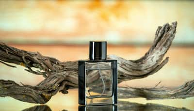 Best 4 Long-Lasting Perfumes for Men, That Stays All Day 