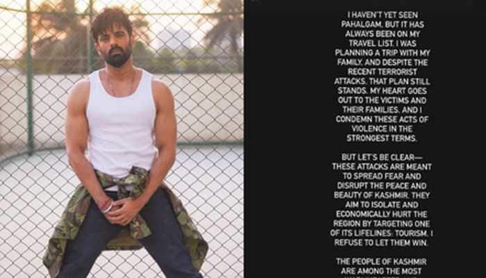 'I Will Still Go To Kashmir As A Tourist, I Refuse To...', Says TV Actor Mohit Malik