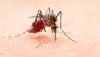 Malaria