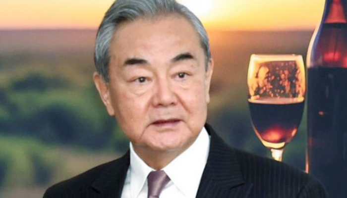 Closely Monitoring Situation Between India And Pakistan: Chinese Minister Wang Yi