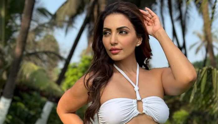 Actress Navina Bole's SHOCKING Allegations Against Sajid Khan; He Said, 'Take Off Your Clothes And Sit In Your Lingerie'
