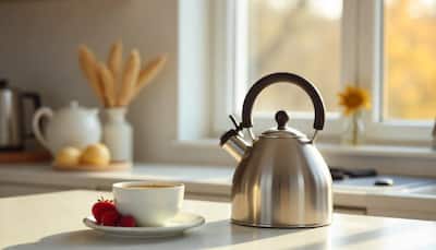 Top 4 Electric Kettles for Quick and Easy Boiling