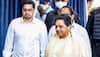 Mayawati Defends Akash Anand’s Return To BSP, Cautions Party Workers Of  ‘Opportunistic Elements’