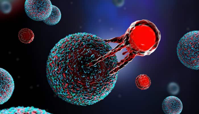 New Cancer Treatment Shows 100% Success Rate In Tough Lymphoma Cases, Say Scientists