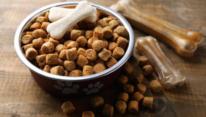 Choose the Right Dog Food for a Shiny Coat and Strong Bones