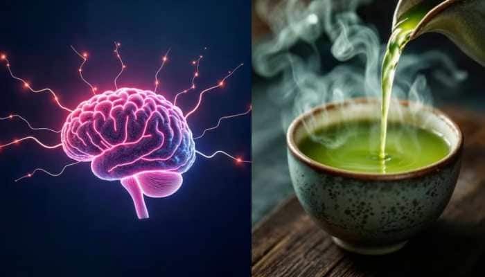 Want A Smarter Brain? Sip These 3 Super Drinks Backed By American Experts