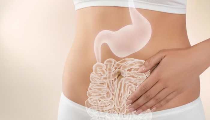 Why Your Gut Health Is The CEO Of Your Overall Well-Being – From Mood And Metabolism To Immunity And Skin