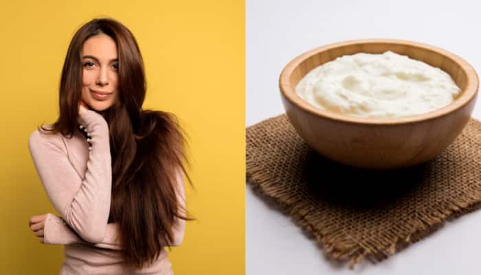 Summer Hair Care With Curd: Everything You Need To Know About Its Uses, Benefits, And Side Effects