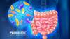 How A Compromised Gut Health Can Trigger Parkinson’s? Check Expert Insights