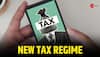 Chosen New Tax Regime For AY 2025-26? Changes In ITR 1 Sahaj Salaried Persons Should Know