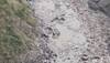 Pahalgam Fallout: India Suspends Water Flow To Pakistan Through Baglihar Dam On Chenab River