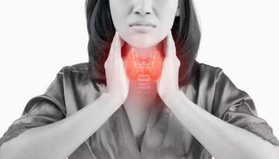 The Gut-Thyroid Connection: How IBS And Hypothyroidism Impact Metabolism