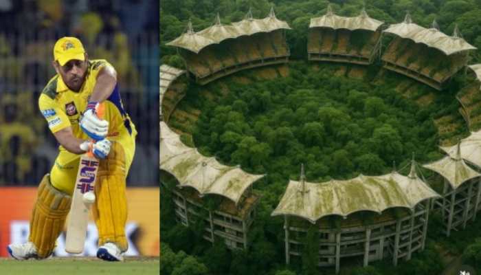 Not MS Dhoni's CSK But THIS IPL 2025 Team Has Helped In Planting Most Number Of Trees By Facing Most Dot Ball - In Pics