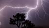 Three Killed, Four Injured In Lightning Strike Near Patna