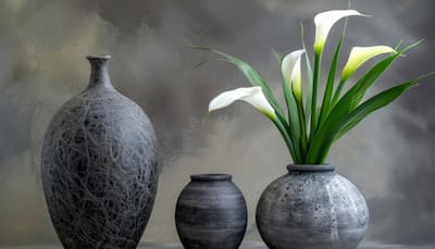 Decor Upgrade with Designer Vases – Grab Offers at Myntra Fashion Carnival Sale