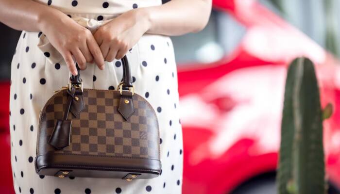 Bag the Glam: 4 Chic Structured Handheld Bags Every Woman Needs