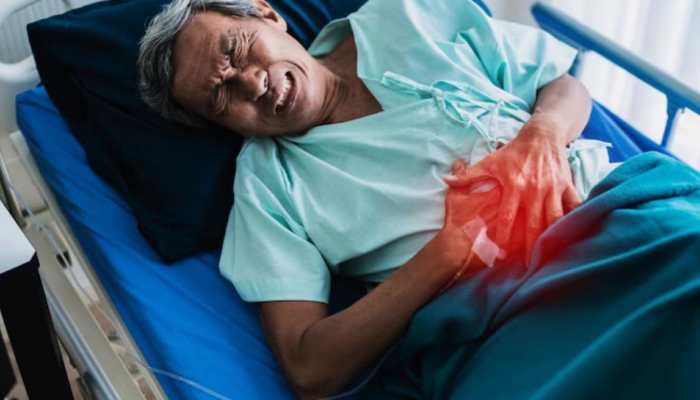 Liver Fibrosis And Scarring – Can The Damage Be Reversed Liver Fibrosis And Scarring – Can The Damage Be Reversed
