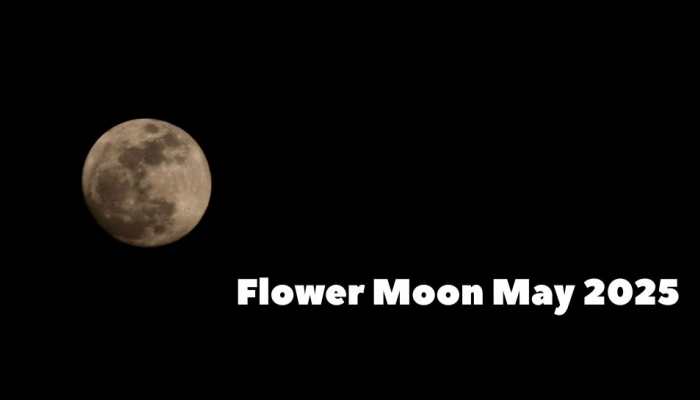 Don’t Miss The 2025 Flower Moon On May 12 — Here’s The Best Time And Place To See It