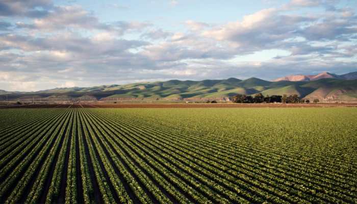 Goa: CADA Member, MLA Alleges Illegality In Denotifying Farmland For Casino Project Goa: CADA Member, MLA Alleges Illegality In Denotifying Farmland For Casino Project