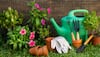 Easy Steps To Help You Grow And Start A Garden: A Complete Beginner’s Guide