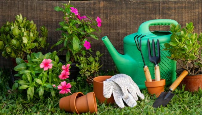 Easy Steps To Help You Grow And Start A Garden: A Complete Beginner’s Guide Easy Steps To Help You Grow And Start A Garden: A Complete Beginner’s Guide