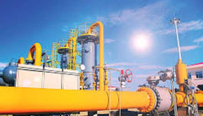 GAIL Clocks Q4 Net Profit Of Rs 2,049 Crore, Declares Final Dividend Of Rs 1
