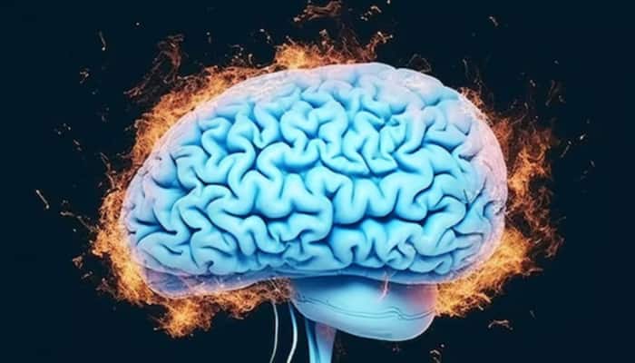 Scientists Discover Molecule That Blocks Cell Death- New Hope For Parkinson’s 
