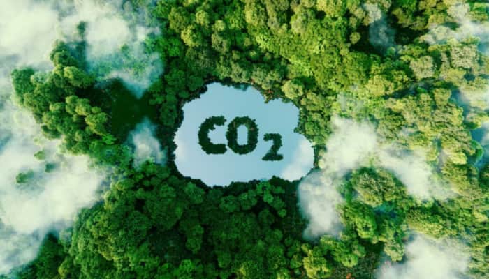 Indian Scientist Transforms Carbon Dioxide Into Clean Fuel Using Sunlight