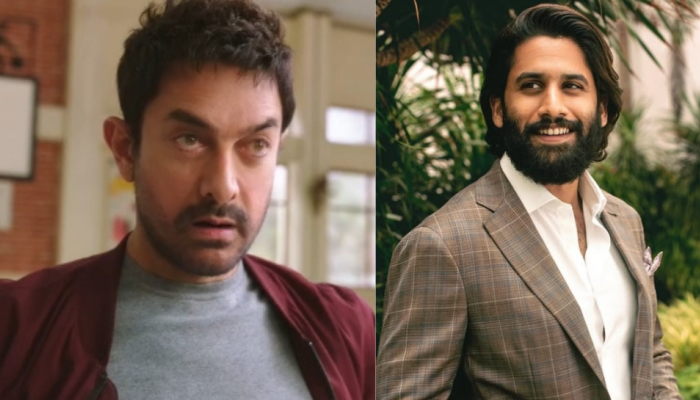 Naga Chaitanya Applauds Sitaare Zameen Par Trailer, Says THIS About Aamir Khan's Film Naga Chaitanya Applauds Sitaare Zameen Par Trailer, Says THIS About Aamir Khan's Film