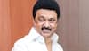 'Attempt To Subvert Constitutional Position': MK Stalin Slams Presidential Reference In Tamil Nadu Governor Case