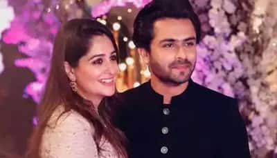 Dipika Kakar Diagnosed With 'Tennis Ball Size' Liver Tumour, Will Undergo Surgery; Informs Husband Shoaib Ibrahim In New YouTube Video