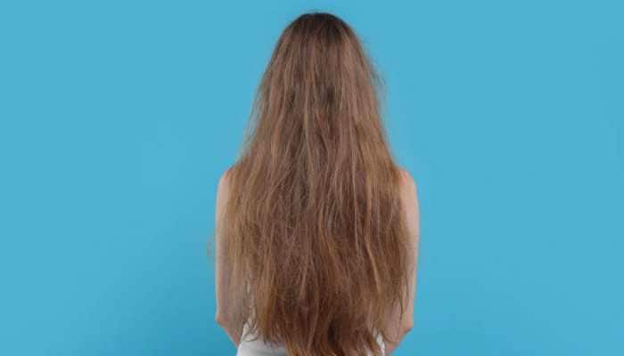 Taming the Frizz: Your Styling Guide for Smooth, Defined Hair