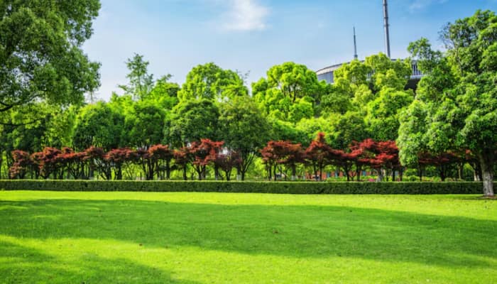 Urban Air Pollution And Lack Of Green Spaces Linked To One In Ten Asthma Cases