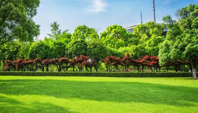 Urban Air Pollution And Lack Of Green Spaces Linked To One In Ten Asthma Cases, Study Finds