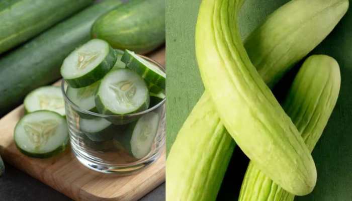 'Kheera' vs 'Kakdi': Which Is Better For Summer? Know Its Health Benefits 'Kheera' vs 'Kakdi': Which Is Better For Summer? Know Its Health Benefits