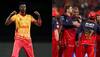 IPL 2025: RCB Sign Zimbabwe Pacer As Replacement For Star Fast Bowler
